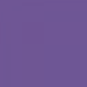 高貴で上品な紫色の振袖 群馬県前橋市の振袖専門店 小川屋